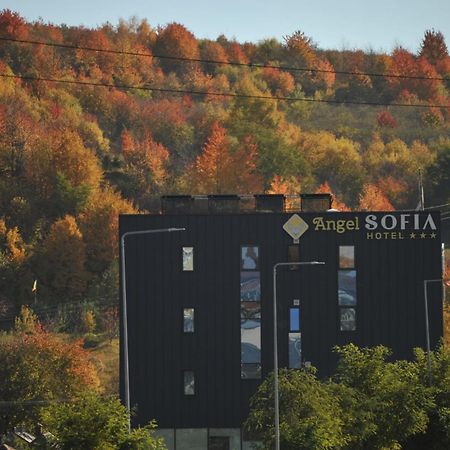 Hotel Angel Sofia Fălticeni Eksteriør billede