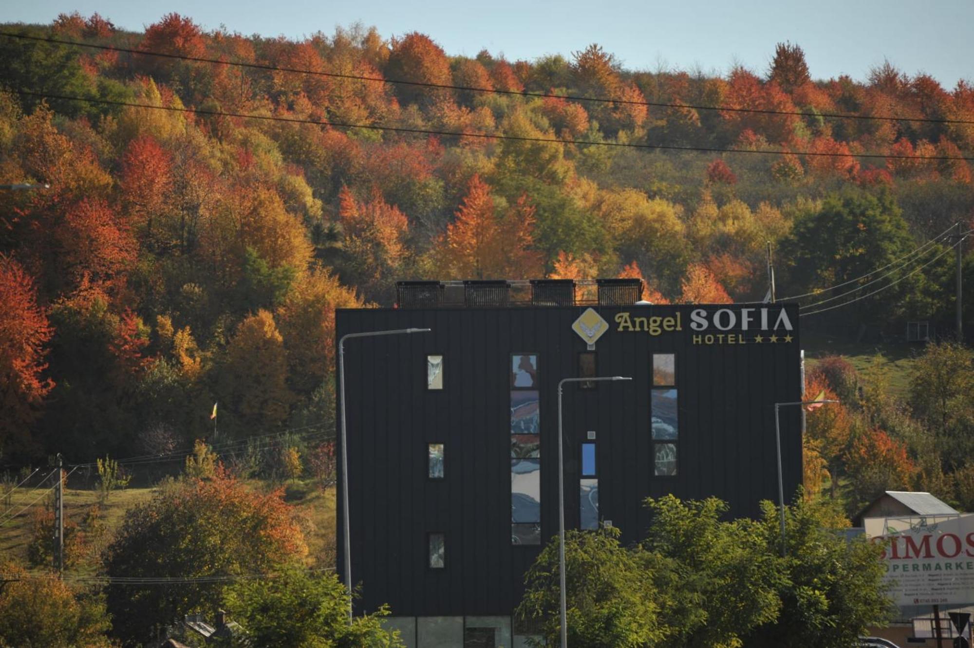 Hotel Angel Sofia Fălticeni Eksteriør billede