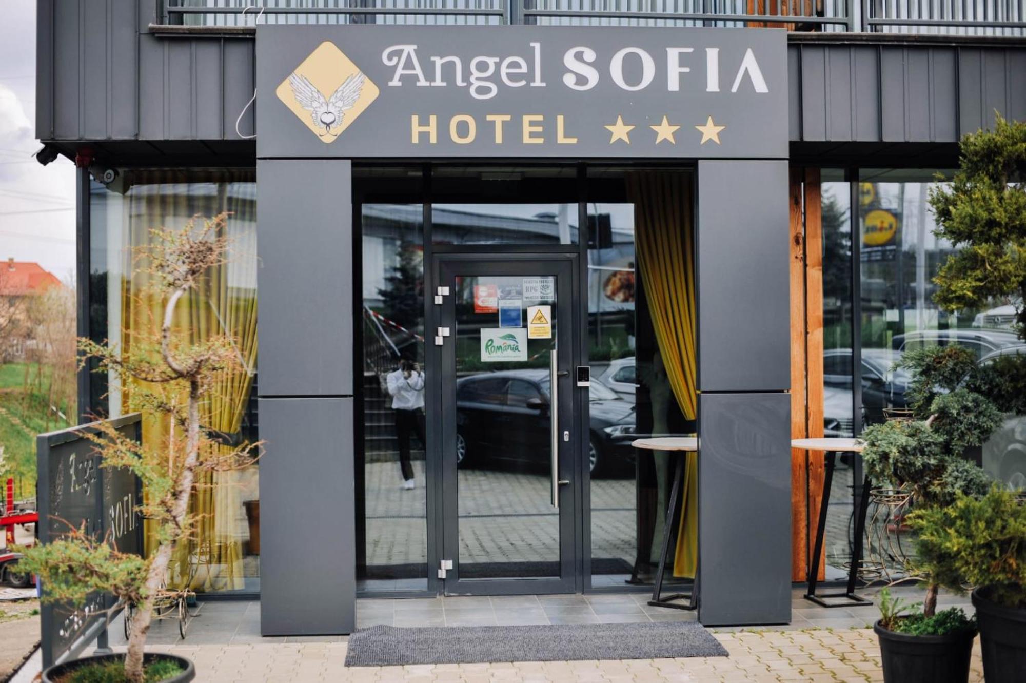 Hotel Angel Sofia Fălticeni Eksteriør billede